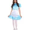 HPO Adult Women's French Apron Maid Uniform Costume | Lake Blue Cosplay Costume