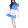 HPO Adult Women's French Apron Maid Uniform Costume | Royal Blue Cosplay Costume