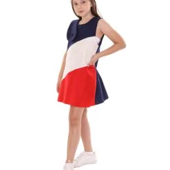 FLAGWIGS Kids Child's Girl Patriotic Celebratory French Flag Troll Dress Costume | Tricolor Cosplay Costume