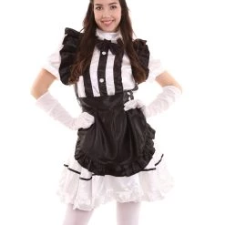 HPO Adult Women's Anime Cosplay French Maid Fancy Uniform Costume | Black Cosplay Costume