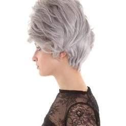 BC Adult Women's Grey Color Straight Updo Trendy Wig