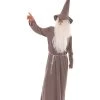 HPO Adult Men's Wizard Hat & Robe TV/Movie Costume | Grey Cosplay Costume