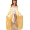 HPO Adult Women's 18th Century Royal Dress Costume | Gold Cosplay Costume