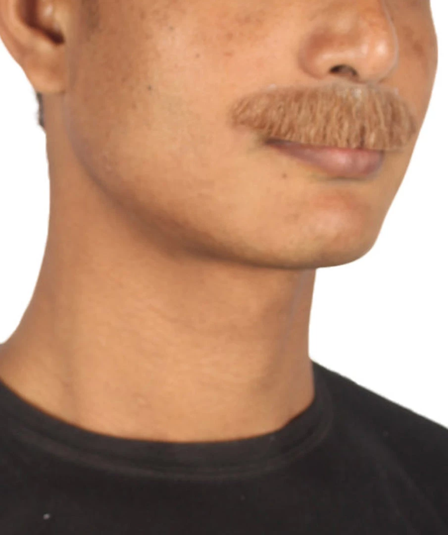 HPO Men's Stylish Moustache Set | Brown Cosplay Facial Hair
