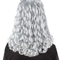 HPO Adult Men's Lion Wig | Multiple Color Options Cosplay Wig