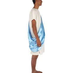 HPO Adult Men's Greek Toga Historical Costume White And Blue Costume