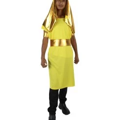 HPO Adult Men's Egyptian King Pharaoh Cosplay Costume Multiple Color Options