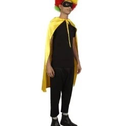HPO Adult Men's Superhero Cape With Mask Set Costume | Multiple Color Options Halloween Costume
