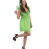 HPO FAIRY COSTUME