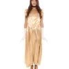 HPO Adult Women's Aristocrat Socialite Dress 20s Costume | Gold Cosplay Costume