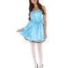 HPO Adult Women's 50s Prom Dress Costume | Lake Blue Cosplay Costume