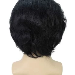 BC Adult Men's Black Color Straight Updo Rock And Roll Icon Wig