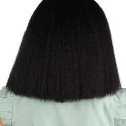 HPO Australian Singer Womens Wig | Black Large Celebrity Cosplay Wigs | Premium Breathable Capless Cap Women's