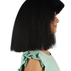 HPO Australian Singer Womens Wig | Black Large Celebrity Cosplay Wigs | Premium Breathable Capless Cap Women's