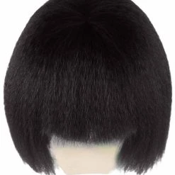 HPO Australian Singer Womens Wig | Black Large Celebrity Cosplay Wigs | Premium Breathable Capless Cap Women's