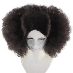 HPO Women's Fashion Afro Unisex Wig | Black Halloween Wig | Premium Breathable Capless Cap
