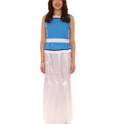 HPO Adult Women's Fancy Dress Costume | Blue & Silver Cosplay Costume