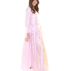 HPO Adult Women's Royal Dress 18th Century Costume | Purple & Gold Cosplay Costume