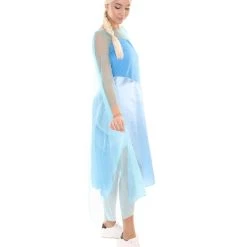 HPO Adult Women's Dress Costume | Blue Cosplay Costume