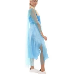 HPO Adult Women's Dress Costume | Blue Cosplay Costume
