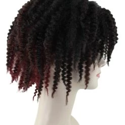 HPO Short Black Dreadlock Womens Wig | Party Ready Fancy Cosplay Halloween Wig | Premium Breathable Capless Cap Women's