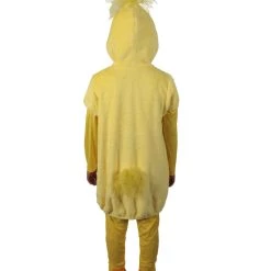 HPO Adult Women's Yellow And Pink Dress Chicken Costume Bundle