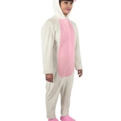 HPO Adult Women's White And Pink Dress Rabbit Costume Bundle