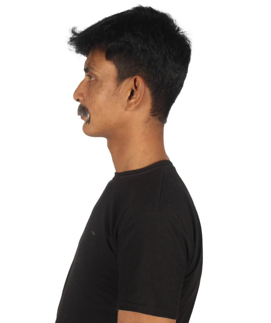 HPO Adult Men's Premium Fake Horseshoe Facial Hair Mustache