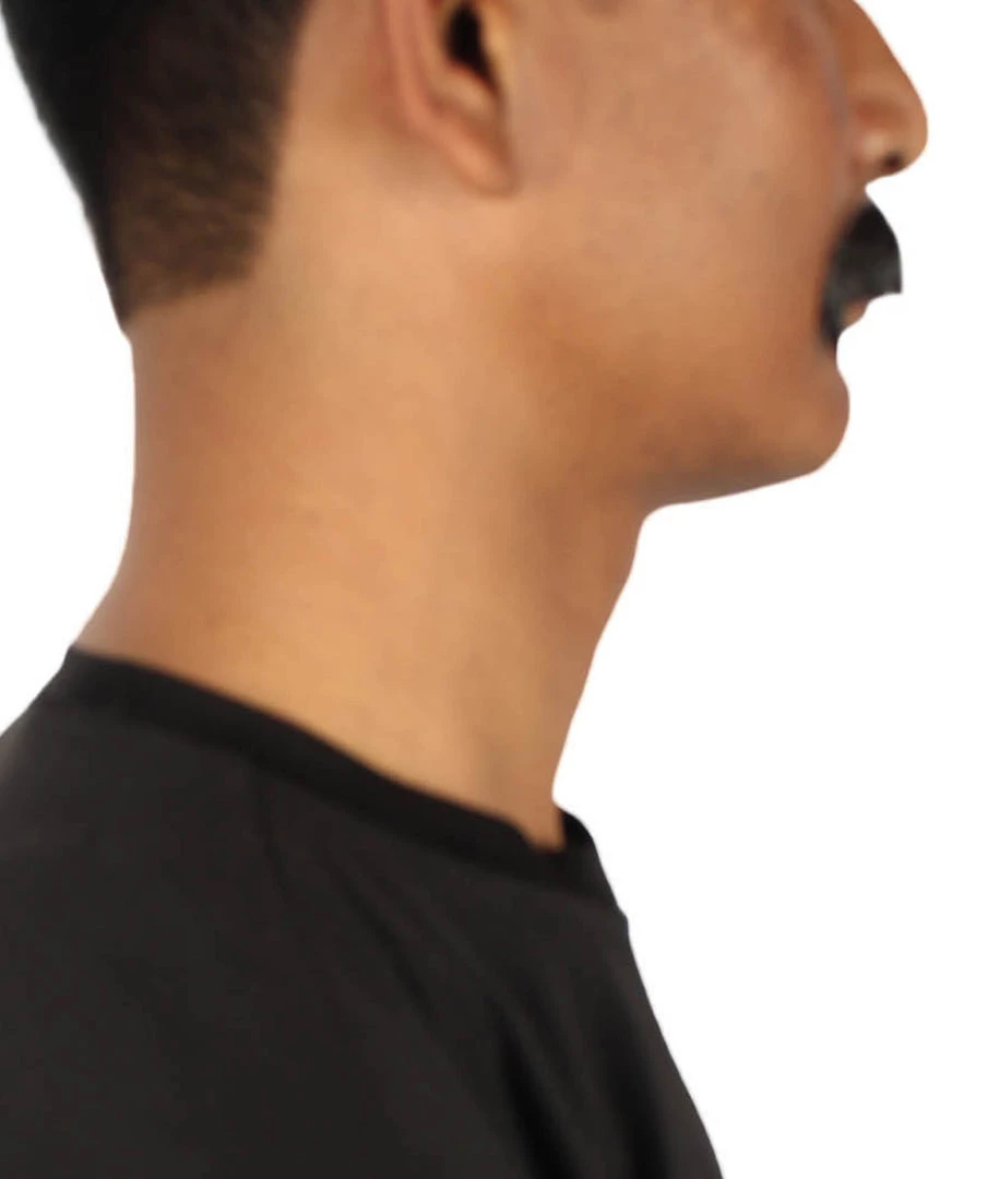 HPO Adult Men's Fake Human Hair Zappa Mustache | Multiple Colors