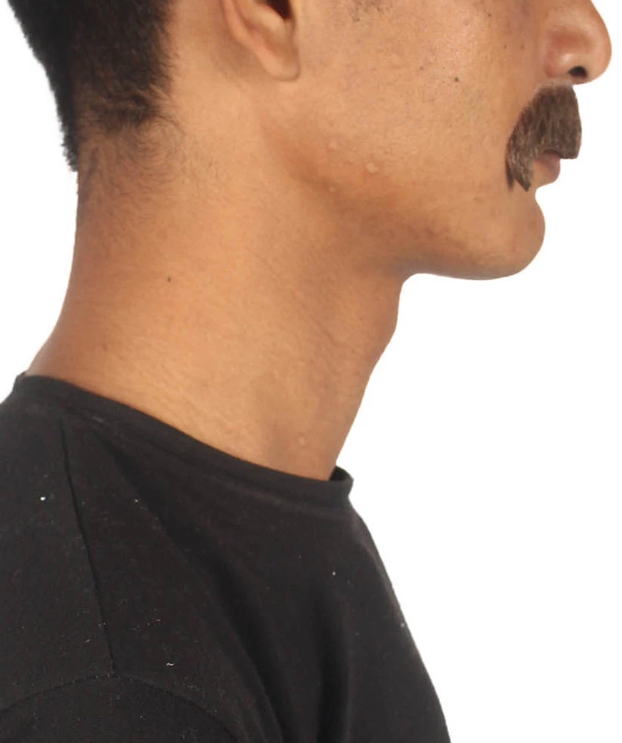 HPO Adult Men's Fake Human Hair Zappa Mustache | Multiple Colors