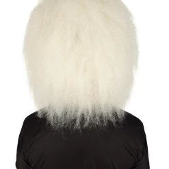 HPO Adult Unisex Christmas Side/Back Lace Front Santa Wig And Beard