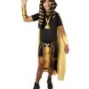 HPO Men's Adult Men’s Ancient Egyptian Pharaoh Amenhotep Costume