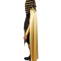 HPO Men's Adult Men’s Ancient Egyptian Pharaoh Amenhotep Costume