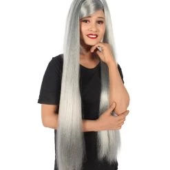 HPO Adult Women's Silver American Pop Star High Ponytail Wig