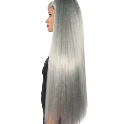 HPO Adult Women's Silver American Pop Star High Ponytail Wig