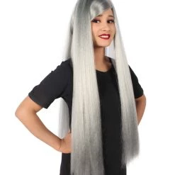 HPO Adult Women's Silver American Pop Star High Ponytail Wig